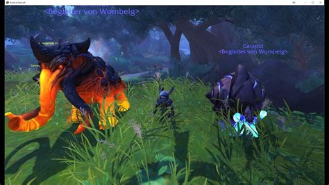 wow jäger pets mit kampfrausch.